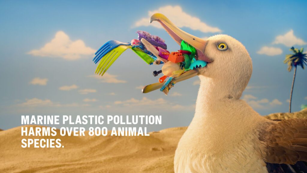 Creatives for plastic fishing tournament campaign