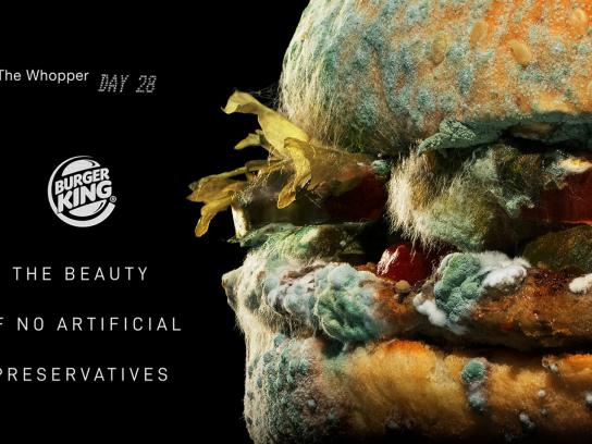 The Moldy Whopper by Burger King