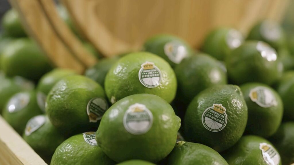 campaign to produce lime by corona